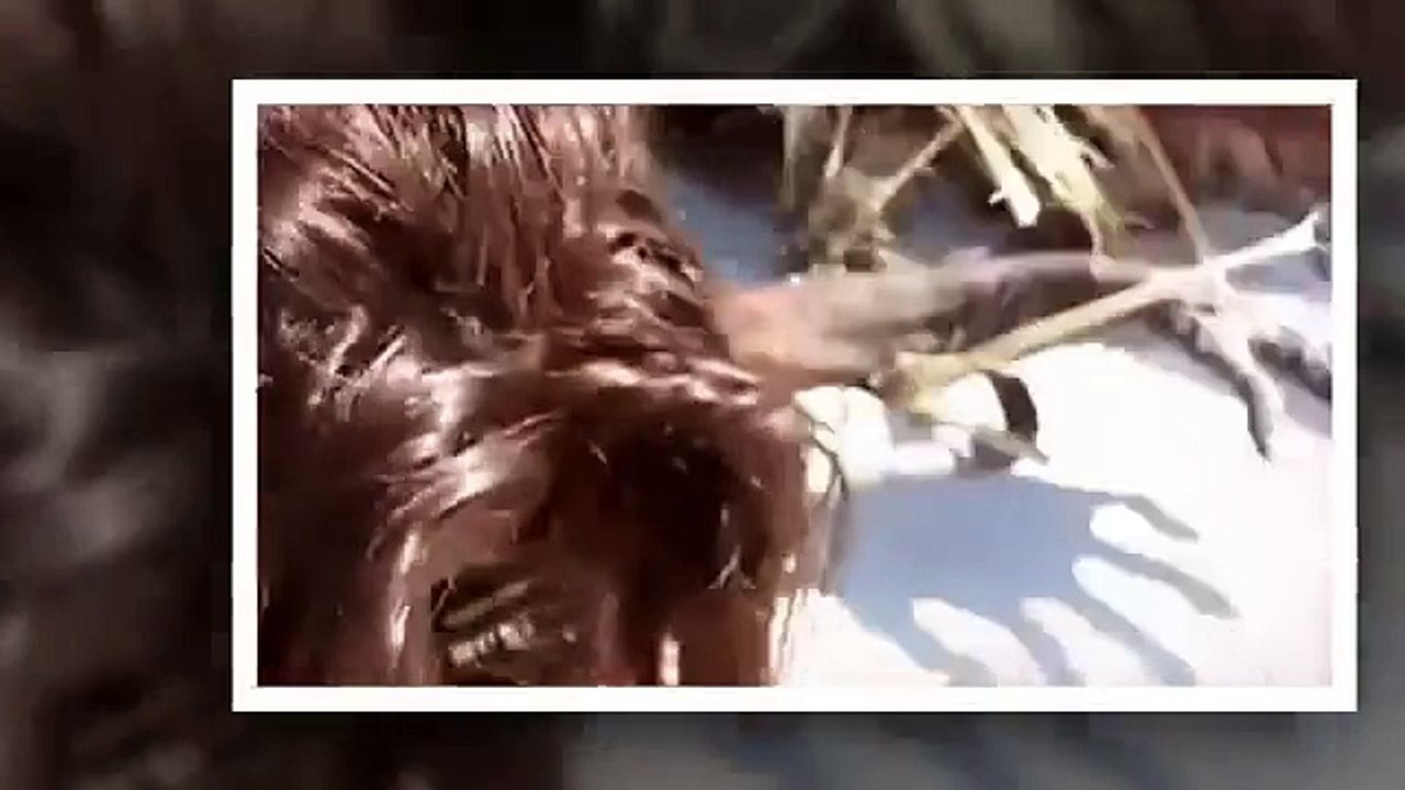 Real Sirena Mermaids caught on tape 2015 (VERY SCARY) Mermaid  found under the sea with Real life