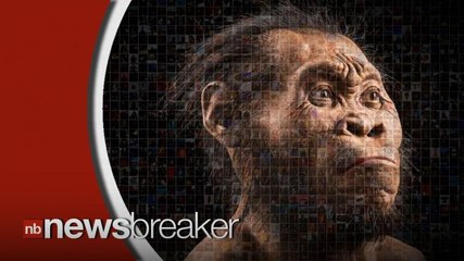 New Species Related to Humans Found in South African Cave