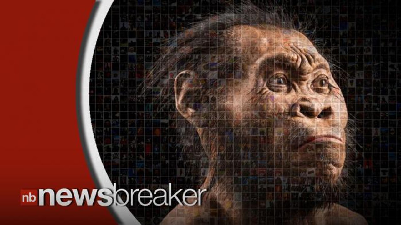 New Species Related to Humans Found in South African Cave