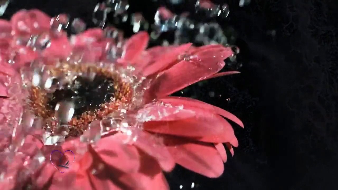 Pavel Panin - Flash De Amor