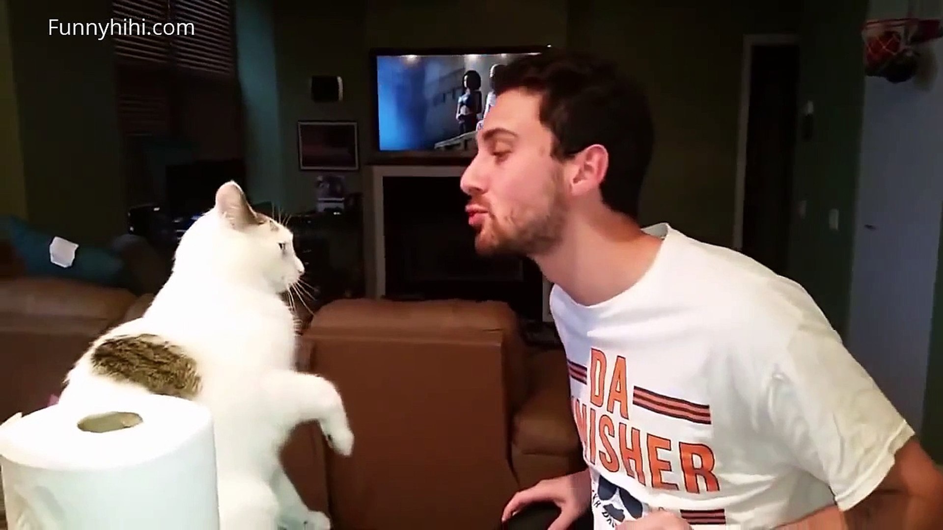 FUNNY CATS Funny Cat Videos 2015 best funny cat vines