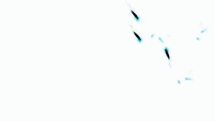 NonStop Clan New 2015 Intro