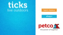 How To Check Your Pet for Ticks (Petco)