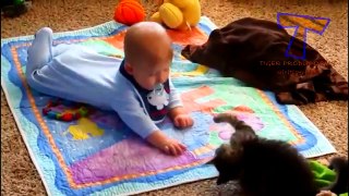 Funny cats and babies playing together Cute cat & baby compilation