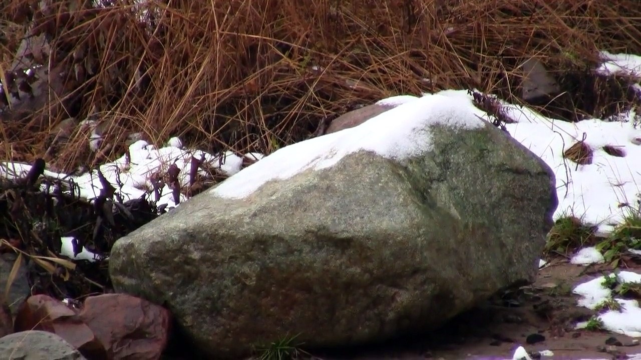 Videokurssi osa 3: Zoomin käyttö - Video Course Part 3: The use of the zoom