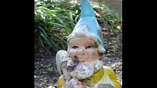 Happy Birthday, Gnome Sayin'?