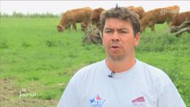 Agriculture. Mesures du gouvernement : Interview de B. Guyau