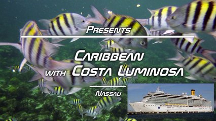Nassau - Snorkeling (Costa Luminosa Excursion)