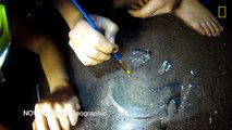 New Human Ancestor Discovered: Homo Naledi! [Full Episode]