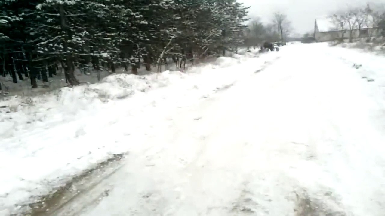 MTZ 50 ,,A Pirtói Traktor Gyilkos''