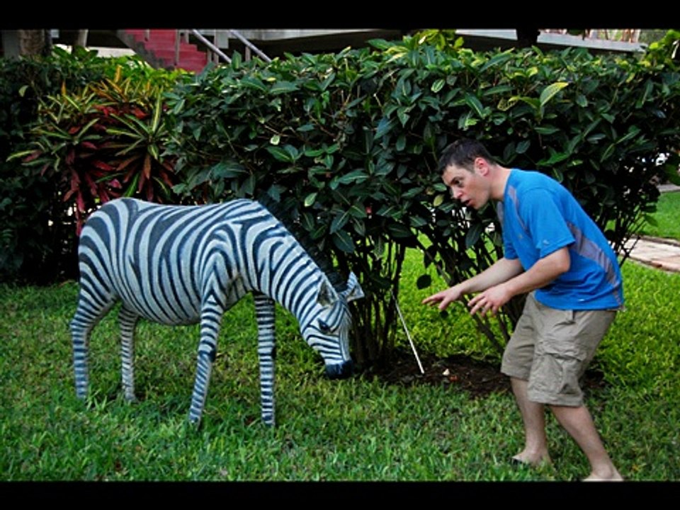 Africa Slideshow - Kilimanjaro Safari Zanzibar