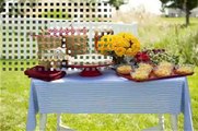 picnic table prices,rustic garden furniture,picnic table ideas