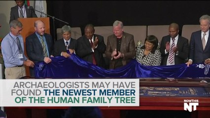 New Human Fossils Found in South Africa