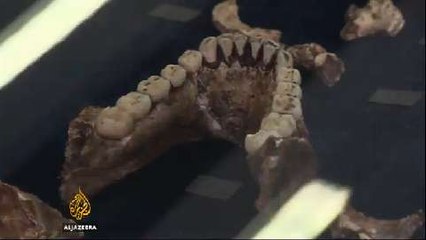 Remains of ancient human species found in S Africa cave