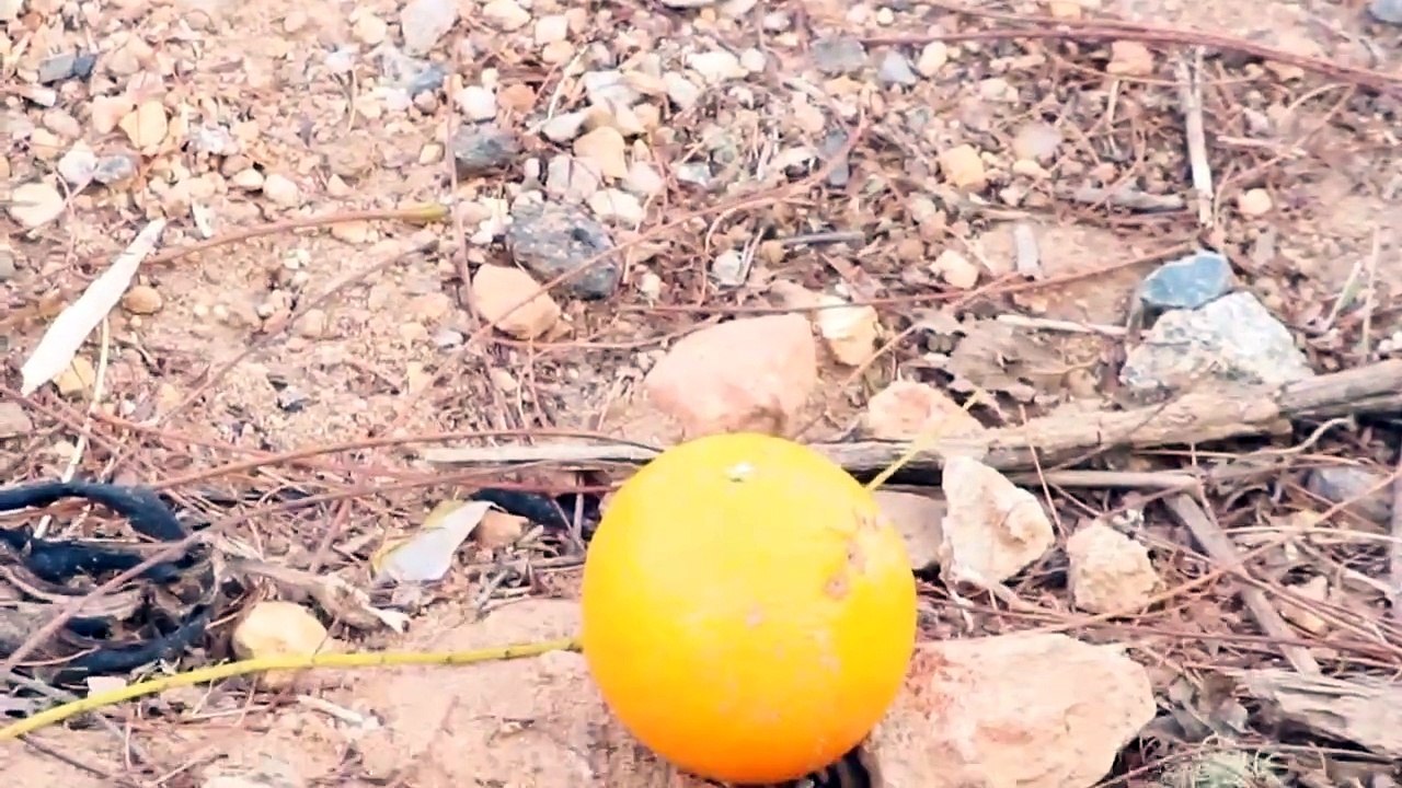 Will Charlie get the Orange?