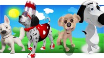 3D Dog Finger Family Collection 3D Dog Cartoon Animation Nursery Rhymes For Children