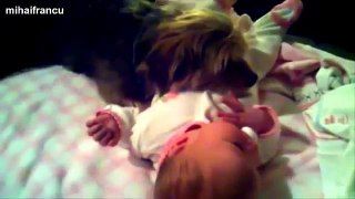 Kopie van Best Of Funny Cats And Dogs Protecting Babies Compilation 2014 NEW