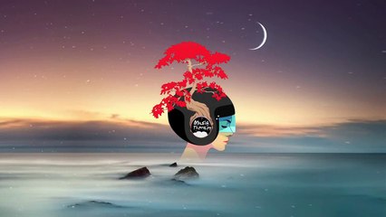 Cartoon - On & On (Ft. Daniel Levi)