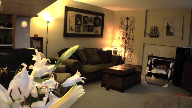 Gun pulled on Prankster PRANK GONE WRONG | pranks gone wrong death | pranks gone wrong death