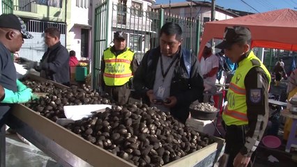 Magap realiza controles de vedas de dorado y cangrejos