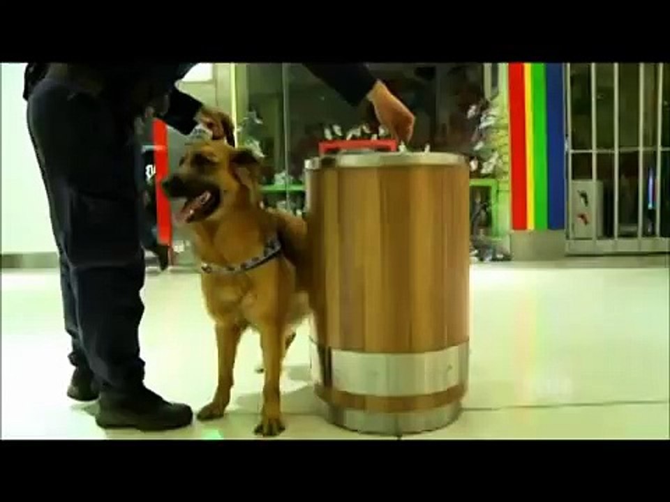 Send In The Dogs Australia S01E03 Part 1 of 2