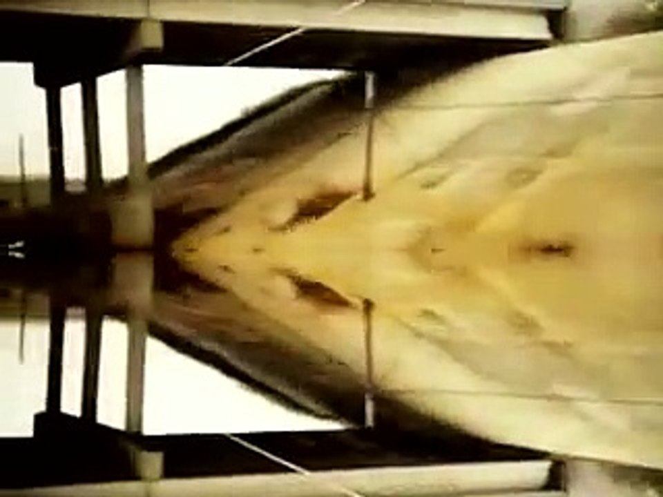 Iñaqui marín videoart ; Videojaming; VJ; Video art