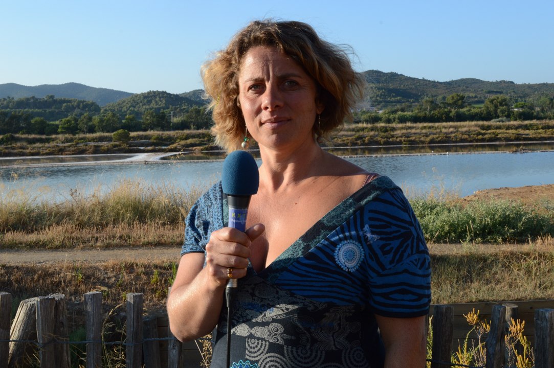 Un Peintre aux Salins de Hyères 2014 - Interview Frédérique Gimond-Lanteri - 720p