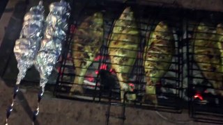 Grilled fish on charcoal