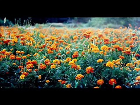 Deadmau5 - Longest Road (Best Remix)