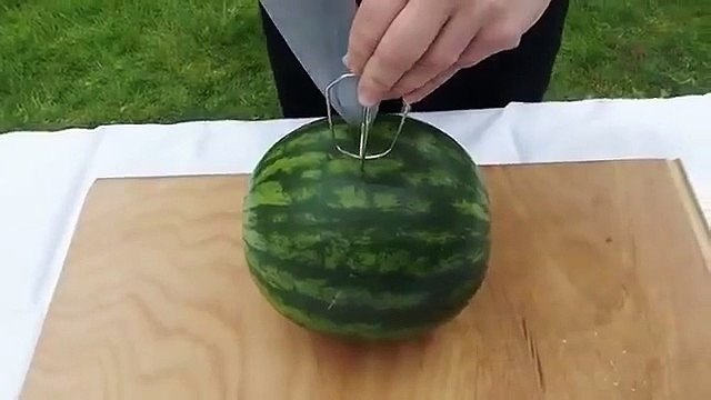 Foods that help burn stomach fat fast