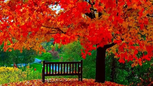 vedat sakman - ayrılıkta sevdaya dahil