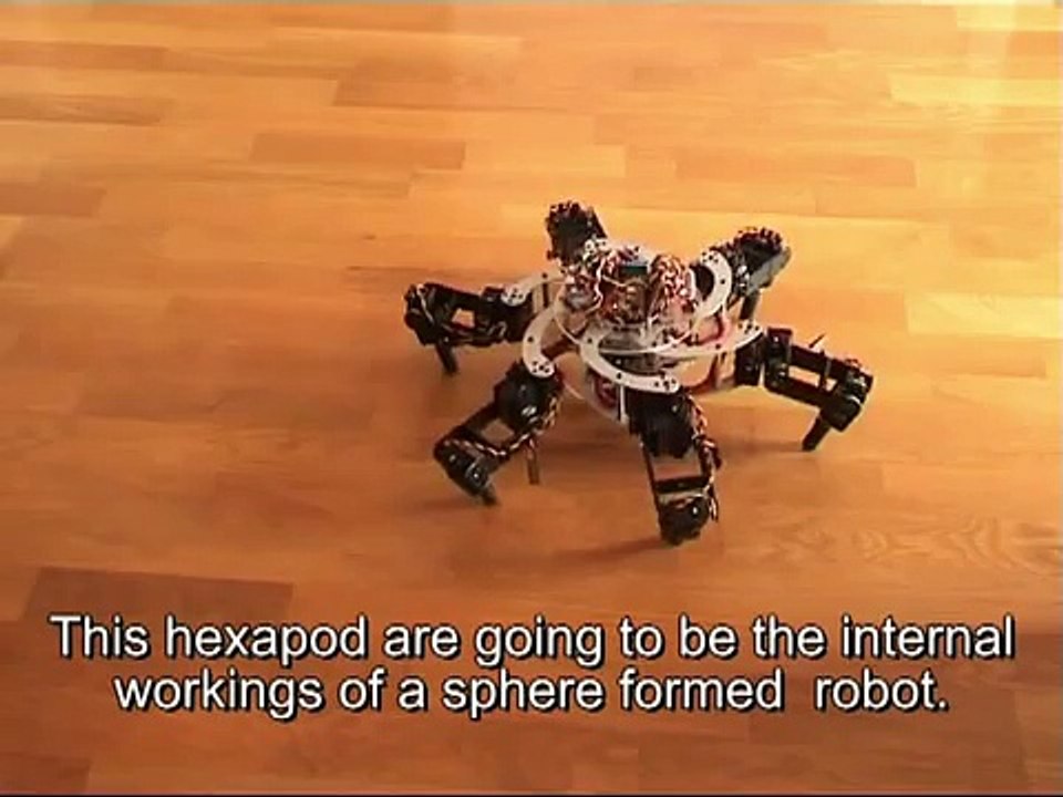 MorpHex part 1