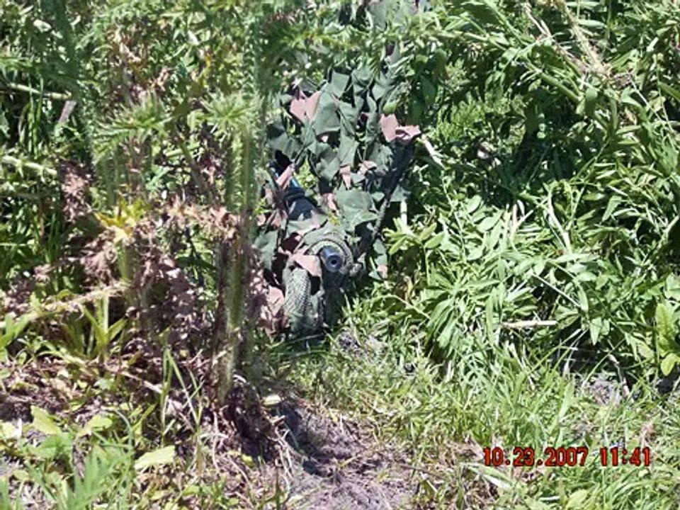 francotiradores geof snipers fuerzas especiales