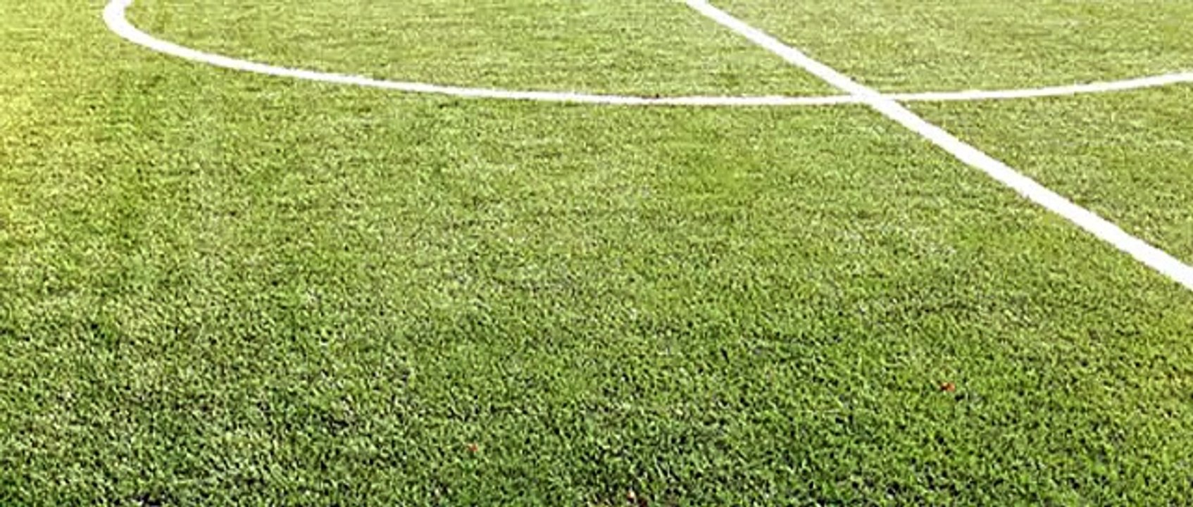 Zapowied-Gryf---Okocimski-15.08.15-r.