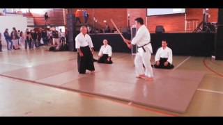 Asian Culture Party 2013 - Aikido