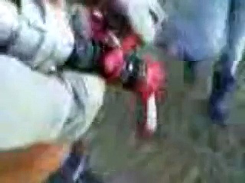 Dinosaur Tracks Germany 2/2