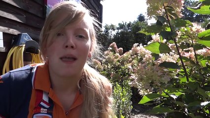 EEN KIJKJE IN DRESSUURSTAL DE RUITER l PaardenpraatTV