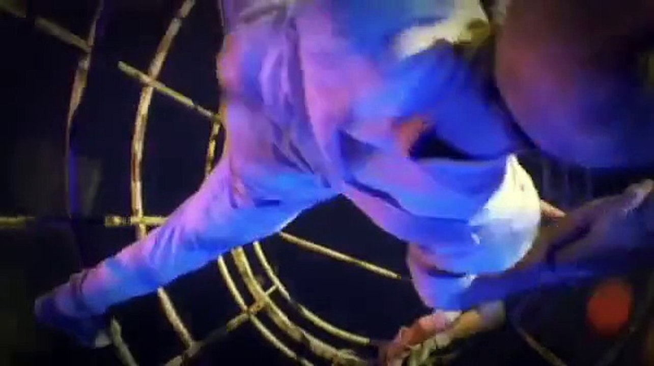 TRAILER LLITS 3D