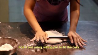 Doctor Cake - Decorating Tips with Fondant Icing