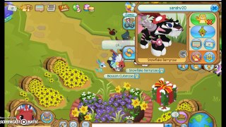 animal jam playing with my friends