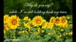 Himawari no Yakusoku (Sunflower Promise) ENGLISH Lyrics Cover