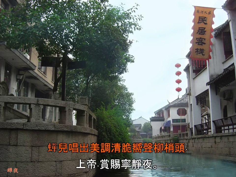 Heavenly Summer Night 蟬夜