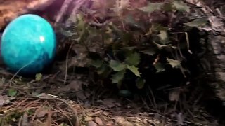 El secreto del huevo azul (Premio El Barco de Vapor 2012)