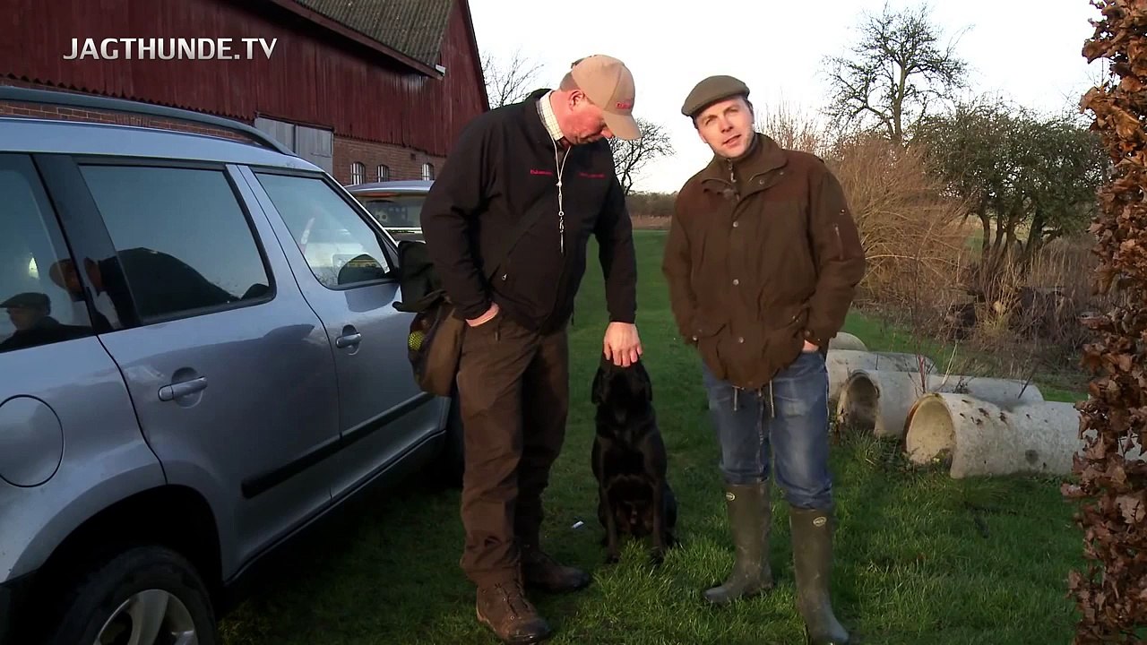Områdesøg ny film på jagthunde.tv