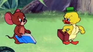 Tom and Jerry Episode 090   Southbound Duckling 1955