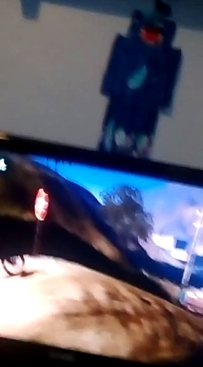 Funny thing on trials