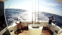 Lucky B TV - Fishing Offshore of San Martin Island for Yellowfin Tuna