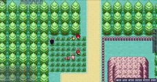 Lets Play Pokemon MMO [German/Deutsch] Part #03 Arenaleiter Rocko