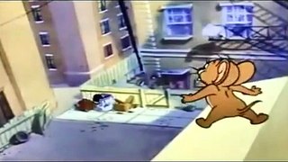 Tom and Jerry Cartoon - Casasova Cat Episode