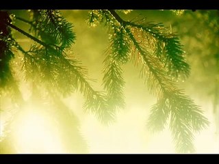 SRI SATHYA SAI BABA SINGS Love is My form, Truth is My breath